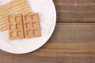 ピナちゃんの恩返し-その2