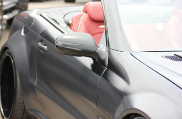 積み上げられたチロルチョコに興奮するピナちゃん