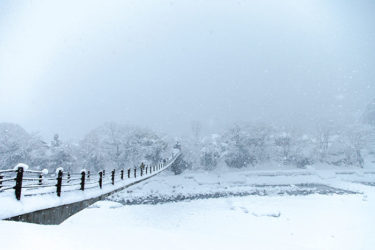 真夏に凍え死にそうになりました。