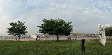 捨てられたピナちゃんを救った育ての母との思い出の味。