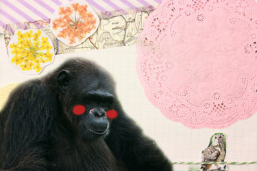 男ですが女子力が急上昇しています。