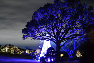 妻の優しさとママの怒りと従兄弟の鼻の穴