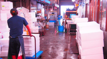 入居者トラブル！周りを威嚇する住人は魚屋さん？