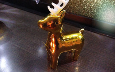 ピナ山家のクリスマス-前編