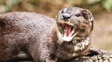 実母に家を勝手に売られかけて妻が激怒（涙）