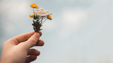 手荒れが誇らしげなピナちゃん