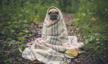 締め出された祖母と幻の食パン